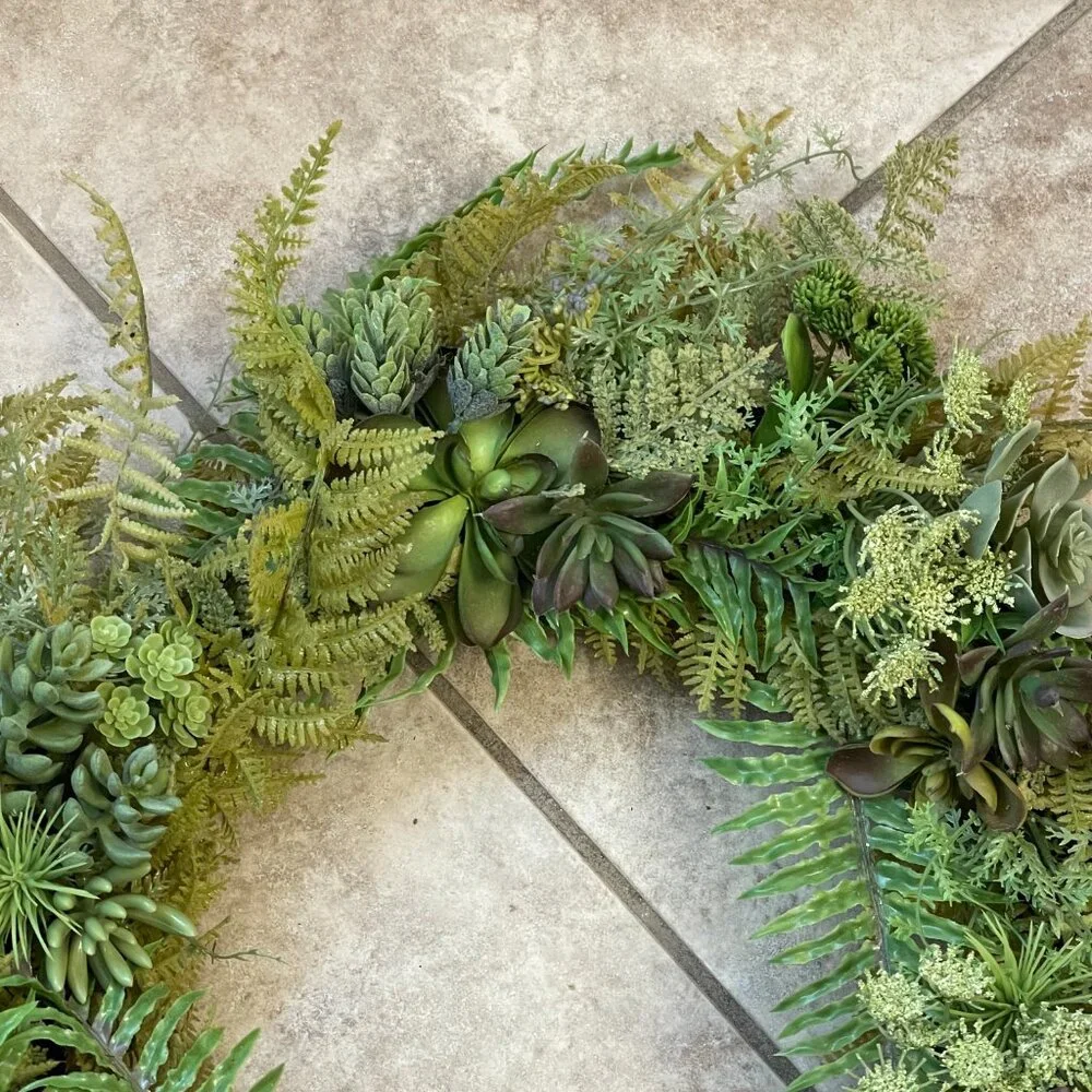 N/A succulent fern